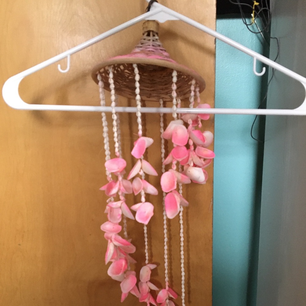 Seashell Decor